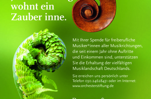 Spende an den Nothilfefonds der Deutschen Orchesterstiftung